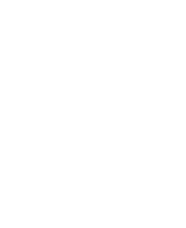 Chateau Group logo